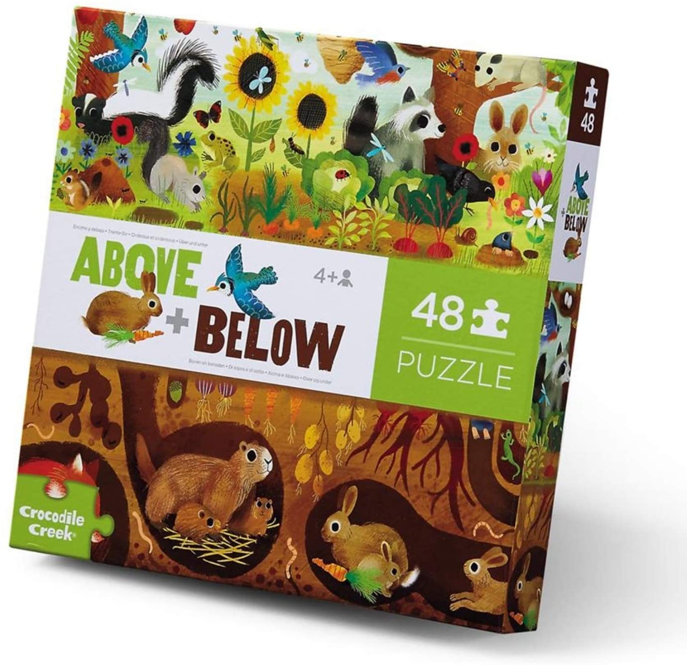 Above + Below Backyard Discovery