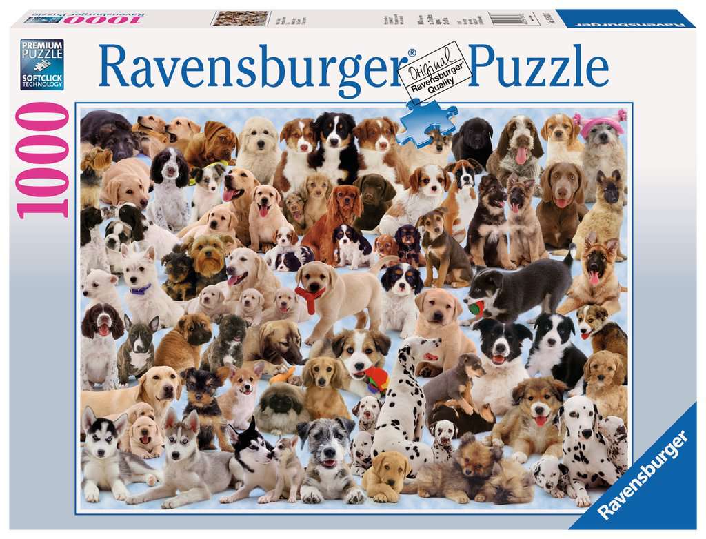 Dogs Galore!
